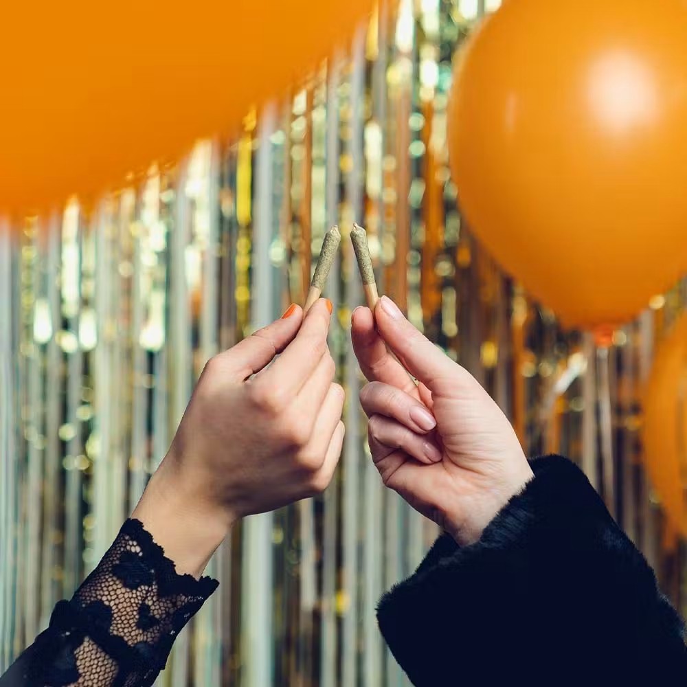 Nahaufnahme von zwei Händen, die Premium-Cannabis-Pre-Rolls zum Anstoßen halten, vor einem festlichen Hintergrund mit goldenen und orangefarbenen Dekorationen. Das Bild vermittelt ein modernes Lifestyle-Erlebnis und steht für hochwertige Cannabisprodukte von PURE BOTANICA.
