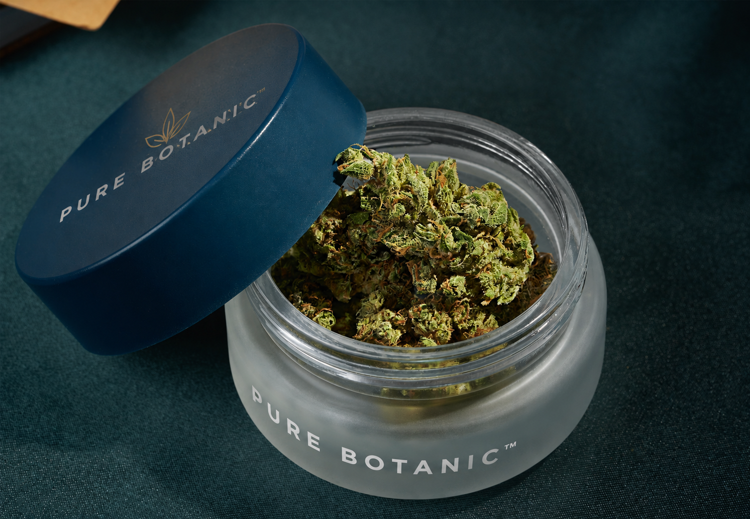 Luxury PURE BOTANICA hero banner featuring premium botanical skincare products and hemp-inspired packaging on a natural stone surface with soft green foliage, warm natural lighting, and a clean blurred background with ample space for website content.