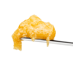 STARTSEITE Makroaufnahme eines goldfarbenen PURE BOTANICA Live Rosin Cannabis-Konzentrats auf einem Edelstahl-Dabber. Die hochauflösende Produktaufnahme zeigt die cremige, terpene-reiche Konsistenz und die glänzende Premium-Qualität des lösungsmittelfreien Cannabis-Extrakts mit außergewöhnlicher Reinheit und natürlichem Aroma.