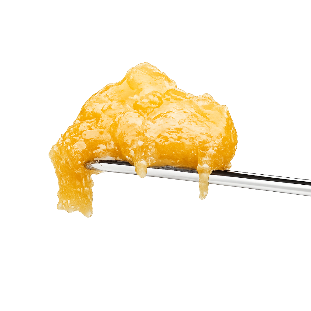 PURE BOTANICA Live Rosin | Premium Cannabis-Konzentrat in höchster Qualität Makroaufnahme eines goldfarbenen PURE BOTANICA Live Rosin Cannabis-Konzentrats auf einem Edelstahl-Dabber. Die hochauflösende Produktaufnahme zeigt die cremige, terpene-reiche Konsistenz und die glänzende Premium-Qualität des lösungsmittelfreien Cannabis-Extrakts mit außergewöhnlicher Reinheit und natürlichem Aroma.