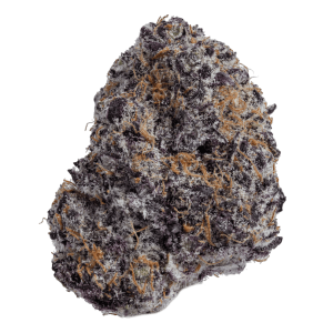 Premium Black Dolphin cannabis flower with deep purple hues, vibrant orange pistils, and crystal-covered trichomes.