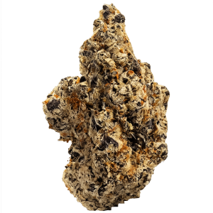 STARTSEITE Makroaufnahme einer hochwertigen PURE BOTANICA Cannabisblüte mit dichter Trichombeschichtung, violett-grünen Nuancen und leuchtend orangefarbenen Blütenstempeln. Die hochauflösende PNG-Produktaufnahme zeigt eine harzreiche Premium-Cannabisblüte mit außergewöhnlicher Qualität, intensiven Terpenen und sorgfältiger Kultivierung für ein erstklassiges Cannabis-Erlebnis.