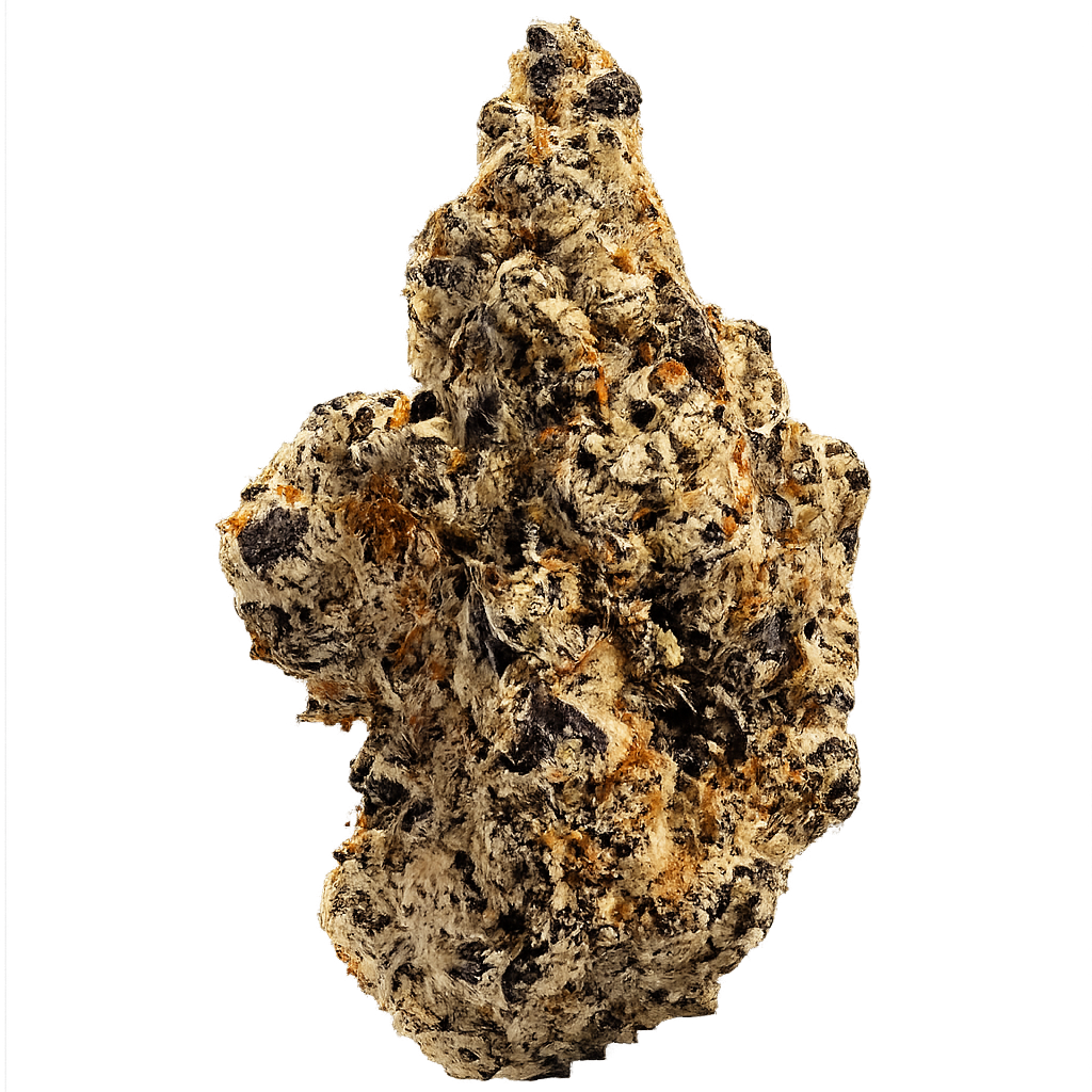 Lusty Lemon Makroaufnahme einer hochwertigen PURE BOTANICA Cannabisblüte mit dichter Trichombeschichtung, violett-grünen Nuancen und leuchtend orangefarbenen Blütenstempeln. Die hochauflösende PNG-Produktaufnahme zeigt eine harzreiche Premium-Cannabisblüte mit außergewöhnlicher Qualität, intensiven Terpenen und sorgfältiger Kultivierung für ein erstklassiges Cannabis-Erlebnis.