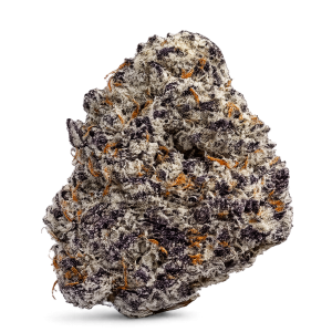 Hochauflösende Makroaufnahme einer PURE BOTANICA Premium-Cannabisblüte mit dichter Trichombeschichtung, funkelnden Harzkristallen, violetten Akzenten und leuchtend orangefarbenen Blütenstempeln. Die detailreiche Nahaufnahme zeigt die außergewöhnliche Harzproduktion, reiche Terpene und die erstklassige Qualität sorgfältig angebauter Premium-Cannabisblüten.