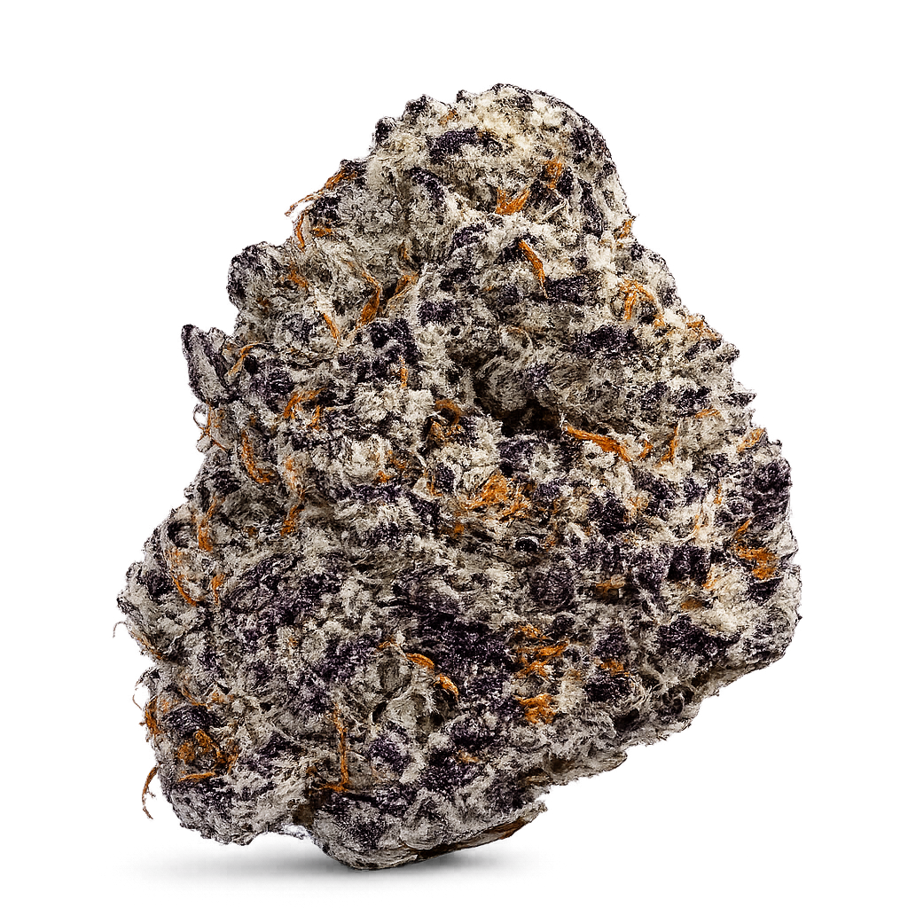 Flex Panther Hochauflösende Makroaufnahme einer PURE BOTANICA Premium-Cannabisblüte mit dichter Trichombeschichtung, funkelnden Harzkristallen, violetten Akzenten und leuchtend orangefarbenen Blütenstempeln. Die detailreiche Nahaufnahme zeigt die außergewöhnliche Harzproduktion, reiche Terpene und die erstklassige Qualität sorgfältig angebauter Premium-Cannabisblüten.