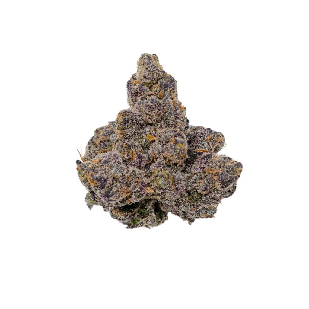 Galactic Warhead Dichte violett-grüne Cannabisblüte, bedeckt mit frostig-weißen Trichomen und leuchtend orangen Stempelfäden, freigestellt auf weißem Hintergrund.