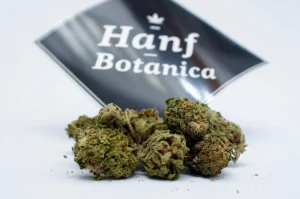 hanf botanica Gras, Cannabis, Mariuhana